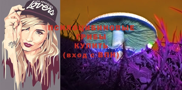 а пвп мука Каменногорск