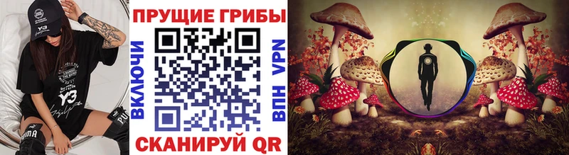 Купить где  Краснообск  Псилоцибиновые грибы ЛСД 